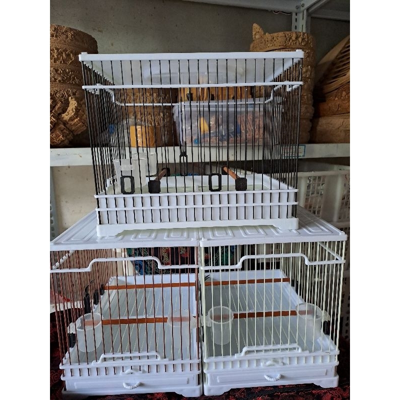 sangkar akrilik ori cungkok