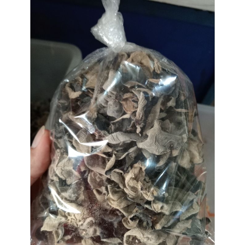 

jamur kuping spr 100grm