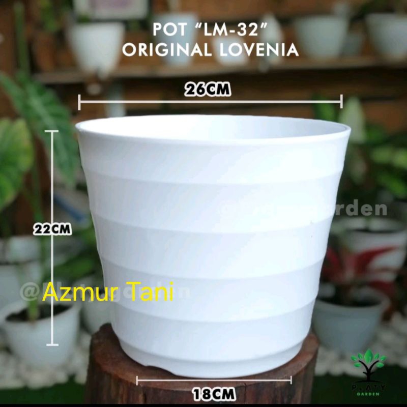 pot bunga lovenia 32//mado 32