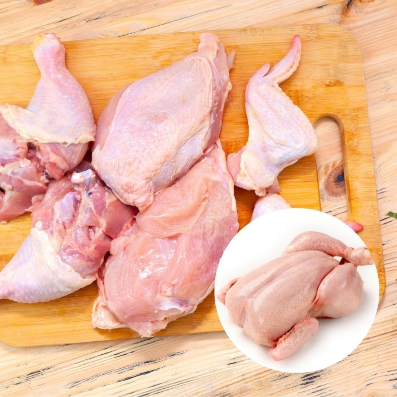 

Ayam Potong/Utuh 1 Ekor ukuran 1-1,2 kg Non-organik