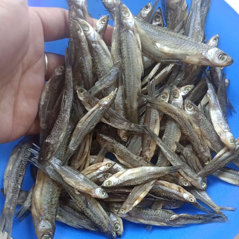 

ikan asin seluang berat 150gram