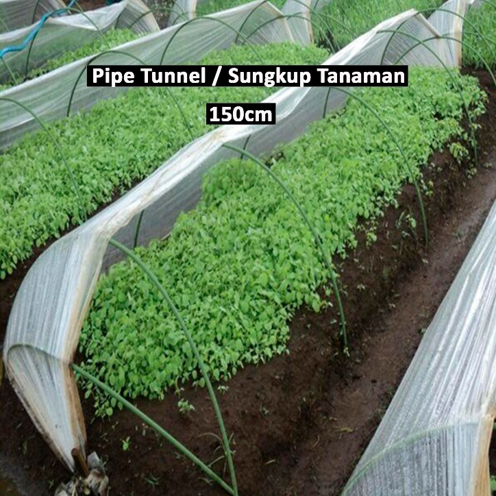 Sungkup Tanaman Ajir / Pipe Tunnel 8 x 1500mm (150cm) 3 Pcs