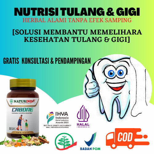 Nutrisi Tulang dan Gigi Obat Patah Tulang dan Retak Penyambung Tulang Cabone Naturindo