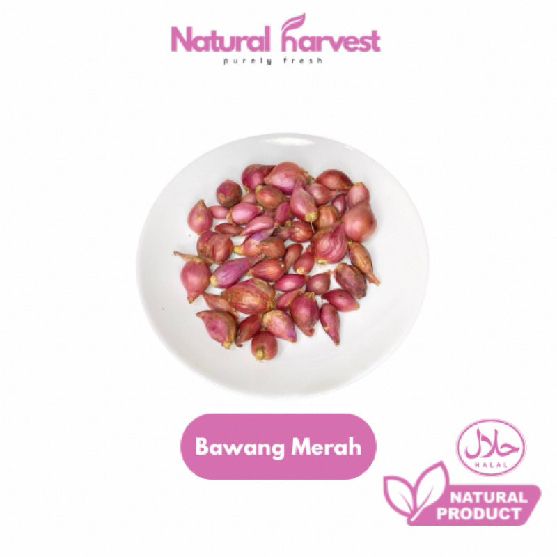 

Bawang Merah 100gr | NaturalHarvest!