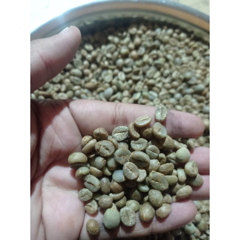 

Biji kopi Robusta fine greenbean