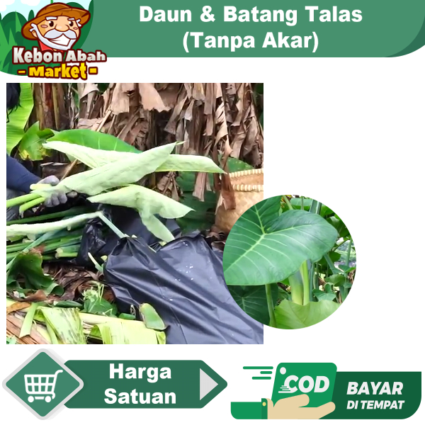 

Daun Dan Tangkai Batang Talas Saja