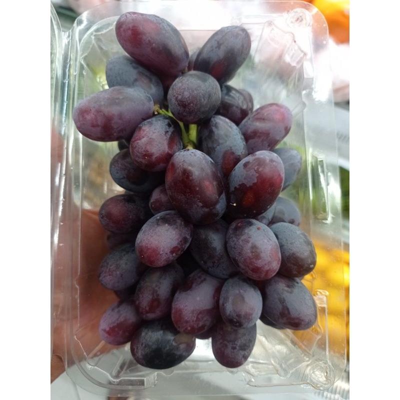 

BUAH ANGGUR AUTUMN MUSCAT -+500 GRAM