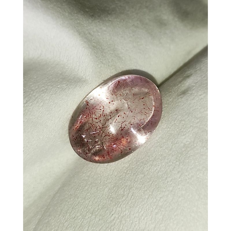 Kecubung Rambut Merah Kecubung Bulu Merah