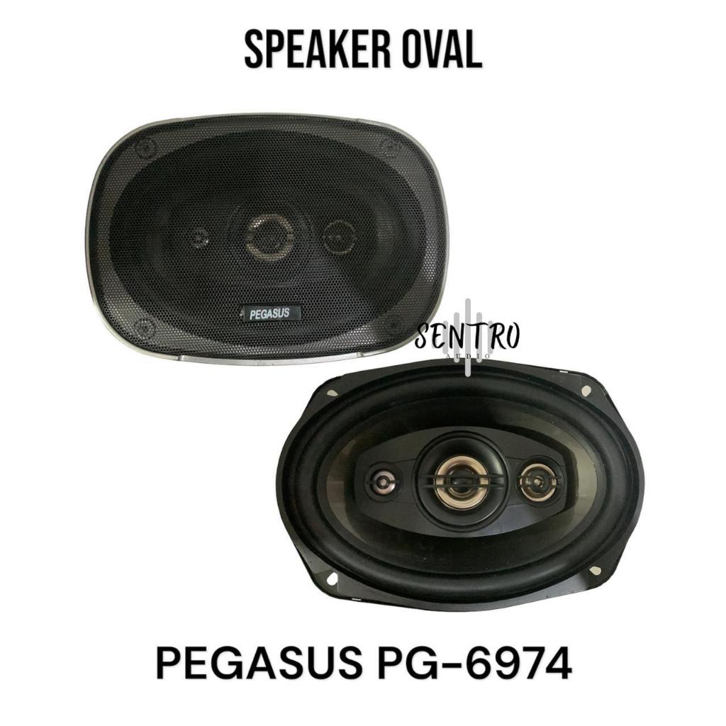SPEAKER OVAL 4 WAY 350 Watt PEGASUS PG-6974 MAGNET BESAR
