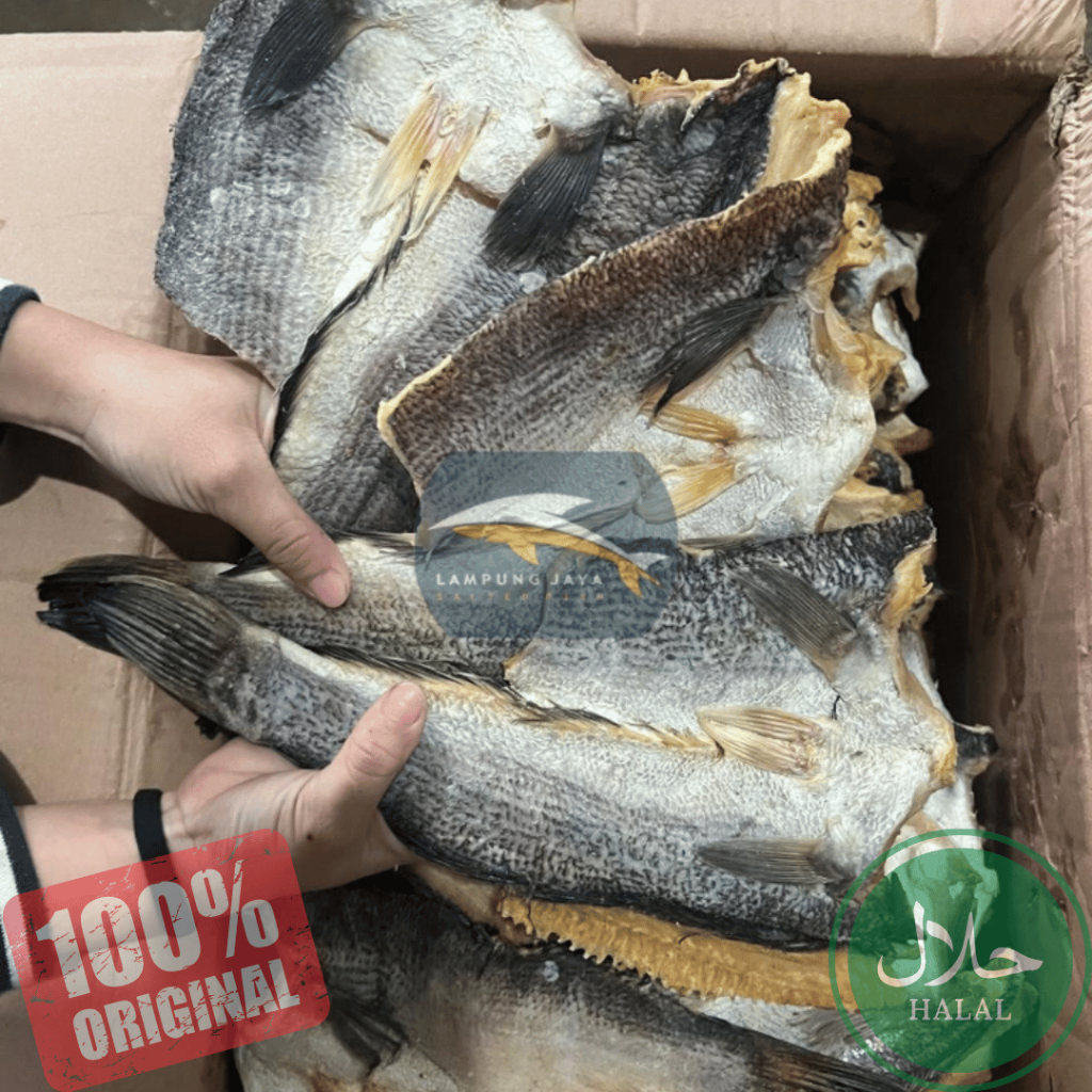 

{BISA COD} IKAN ASIN GABUS BESAR 250 GRAM BERKUALITAS - HARGA GUDANG MURAH, DISTRIBUTOR PERTAMA DARI PETANI