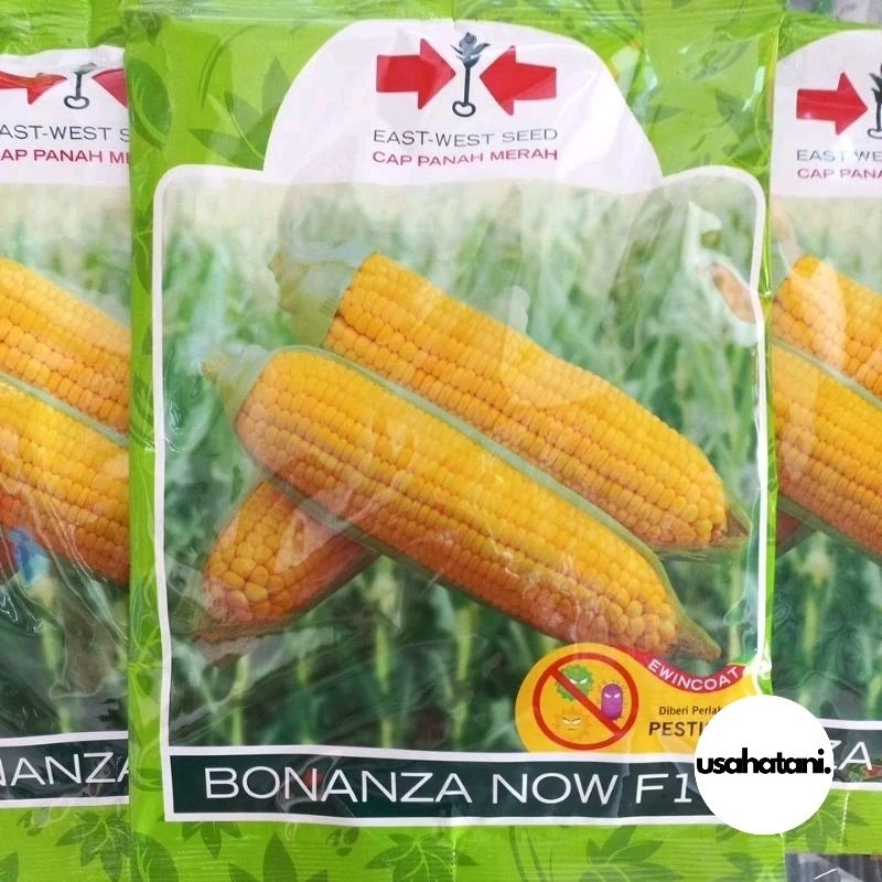 Benih Jagung Manis BONANZA NOW / BONANZA MB F1 Cap Panah Merah