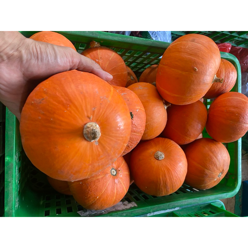 

Labu Kabocha Orange / Labu Jepang Fresh