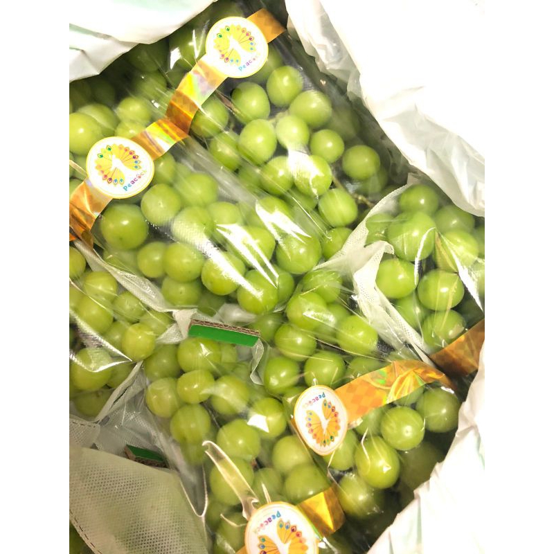 

Anggur Shine Muscat Peacock / kg