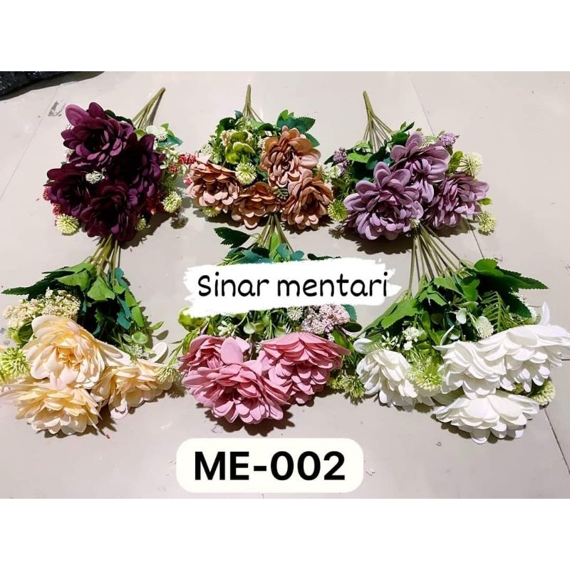 Dahlia clasik/Dahlia import