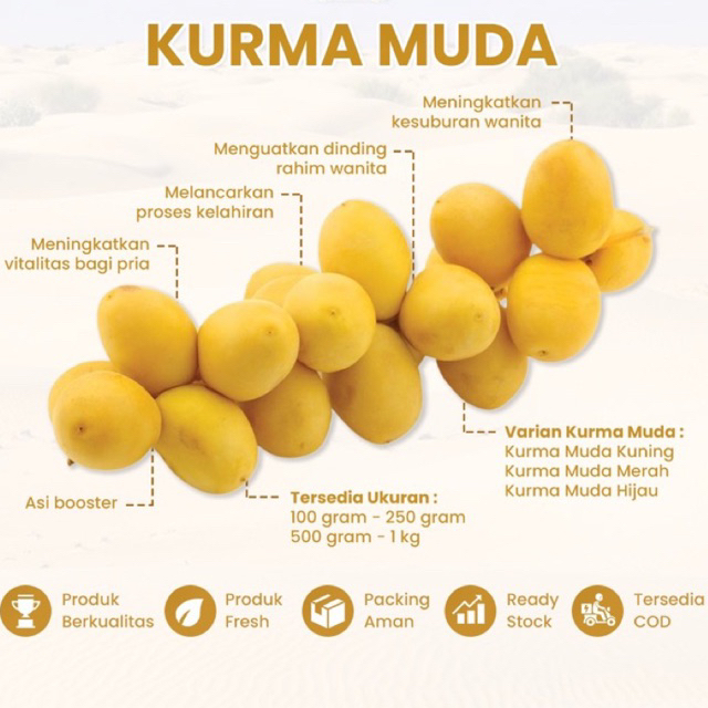 

READY KURMA MUDA BARHEE PROMIL/KURMA MUDA