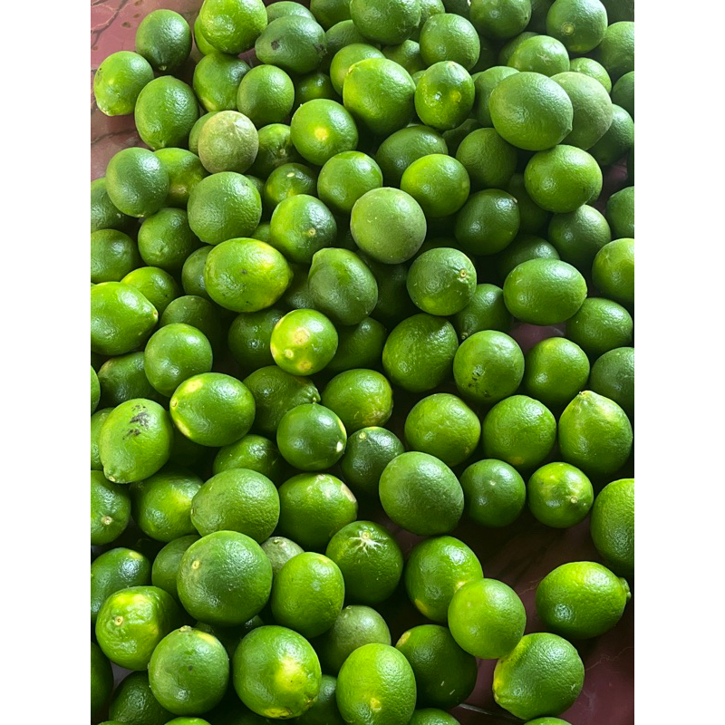 

JERUKLEMON LOKALFRESH