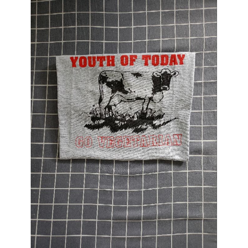YOUTH OF TODAY/go vegetarian