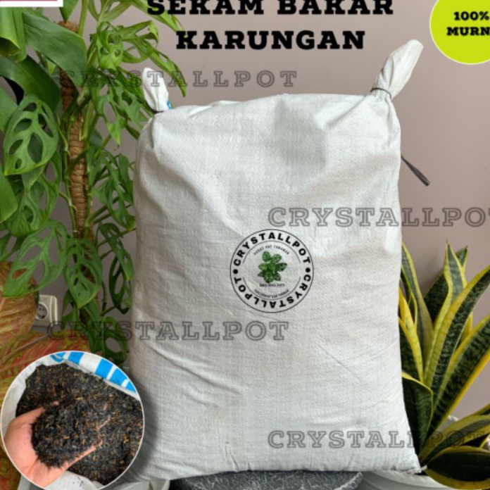 Langka Media tanam sekam bakar murni karung  SEKAM BAKAR KARUNGAN