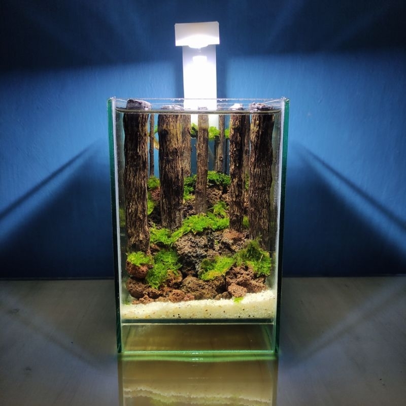 Aquascape Mini Tema Hutan 101015