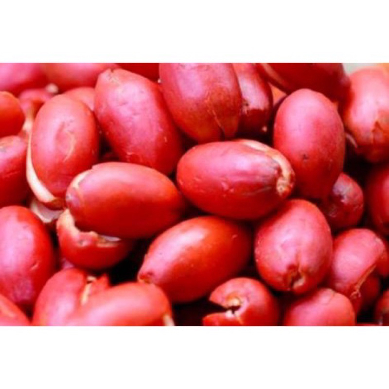 

kulit melinjo mentah 500gr