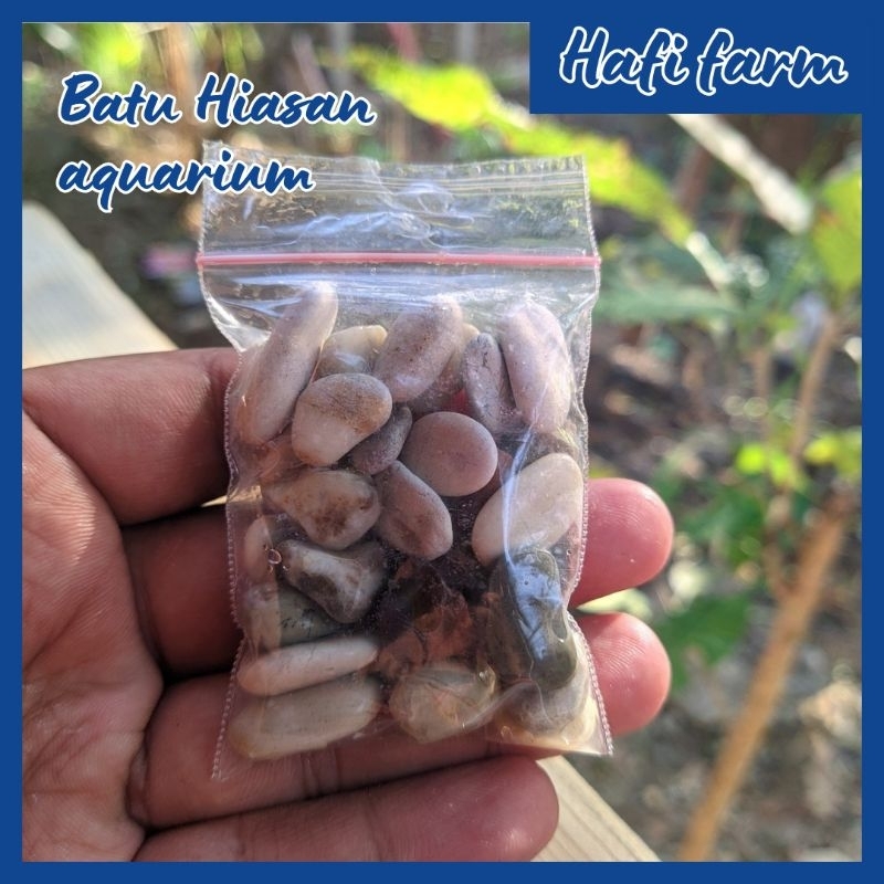 Hiasan Batu Akuarium