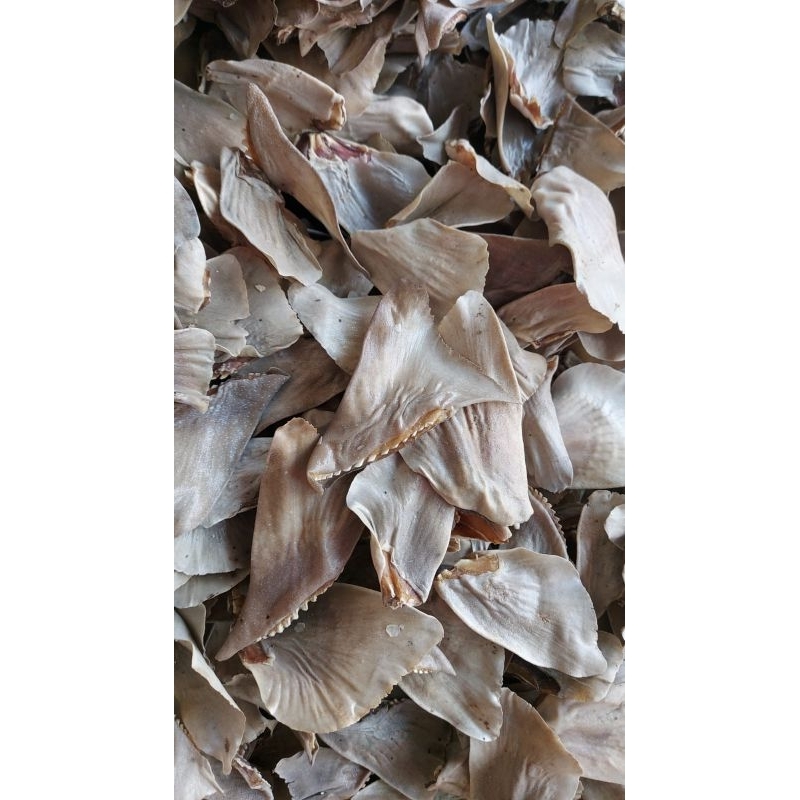 

Hisit utuh kering 250gram