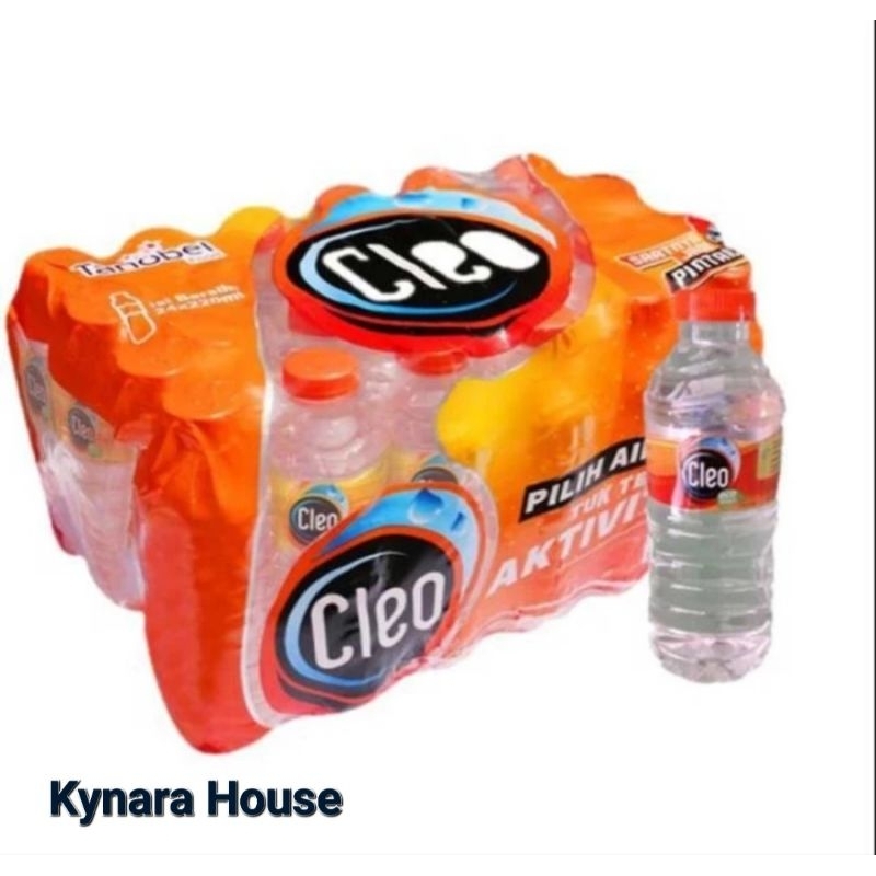 

Cleo Air Mineral Botol 24x220ml (Karton)