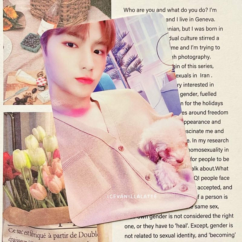 The Boyz Hyunjae Chase POB Withdrama 3.0 WD3 guguk puppy benefit photocard