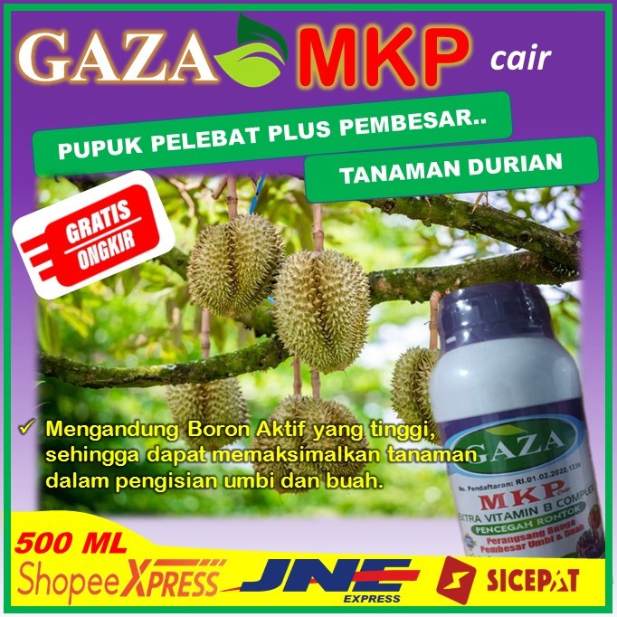 PUPUK TANAMAN BUAH DURIAN BIAR BESAR DAN SUBUR PUPUK TERBAIK PENYUBUR DURIAN MKP GAZA ISI 500 ML COD