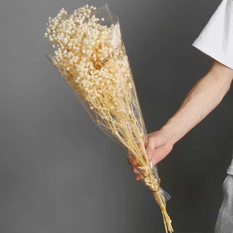 Baby Breath Preseved Cream 50gram | Dried Flower Baby Breath preseved | Bunga Kering Baby Breath Asl