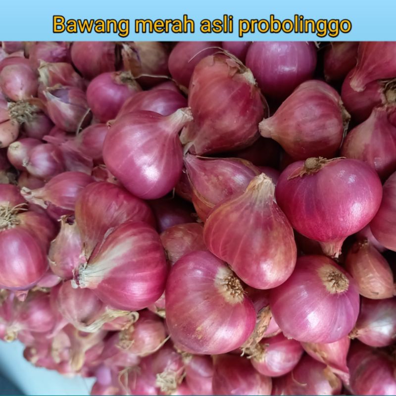 

Bawang merah 1KG Asli probolinggo