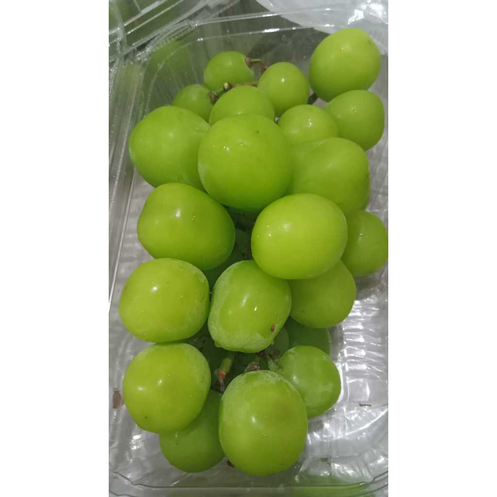 

Anggur Hijau Shine Muscat