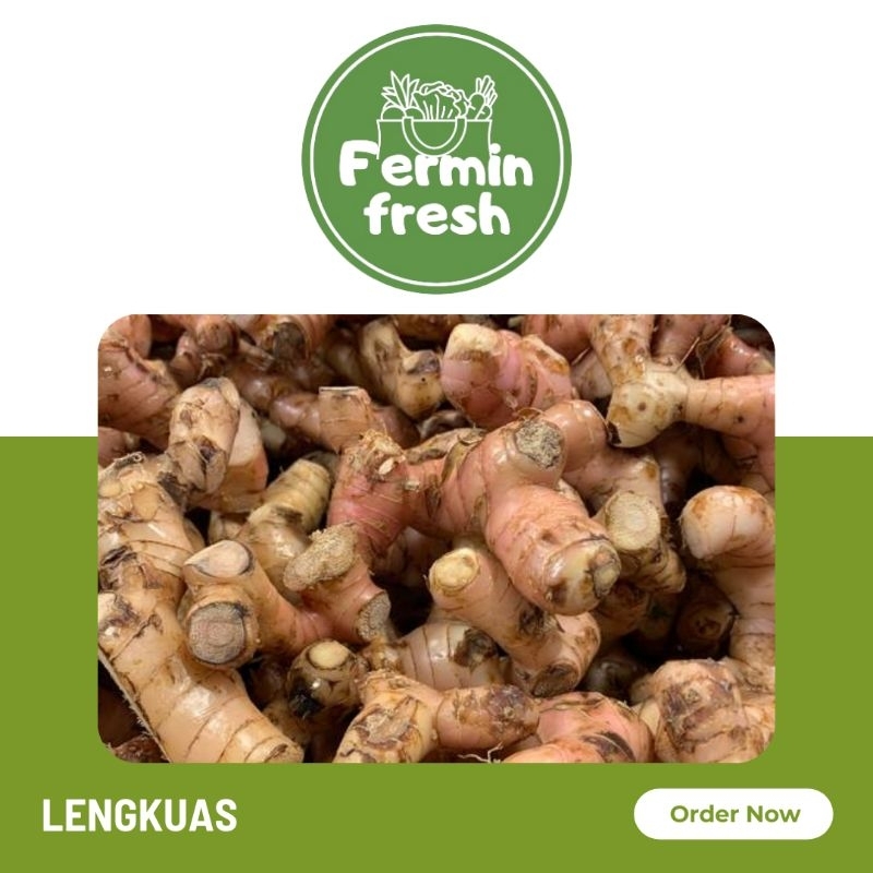 

Fermin Fresh, Lengkuas 250gr