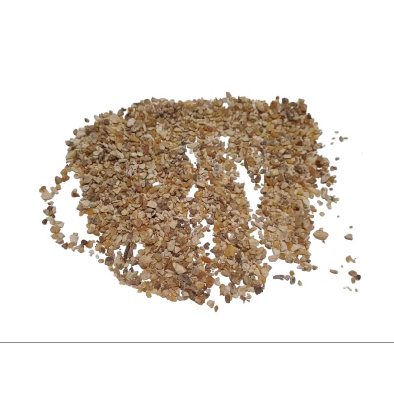 

Kemenyan Beras Putih