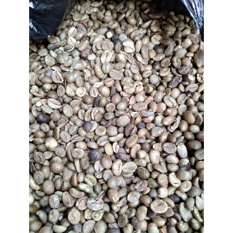 1kg biji kopi robusta wilis greenbean biji kopi mentah