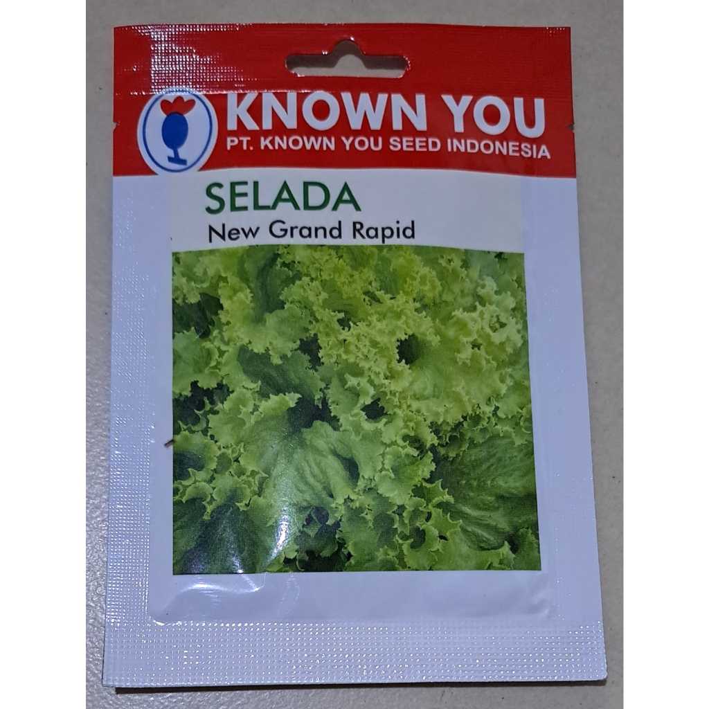 benih selada new grand rapid tanaman hijau