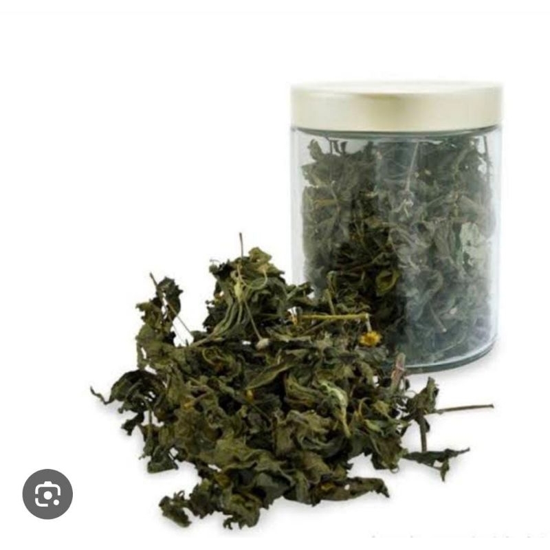 

Daun Tanaman Urang Aring Kering 250 Gram Obat Herbal Tradisional Termurah