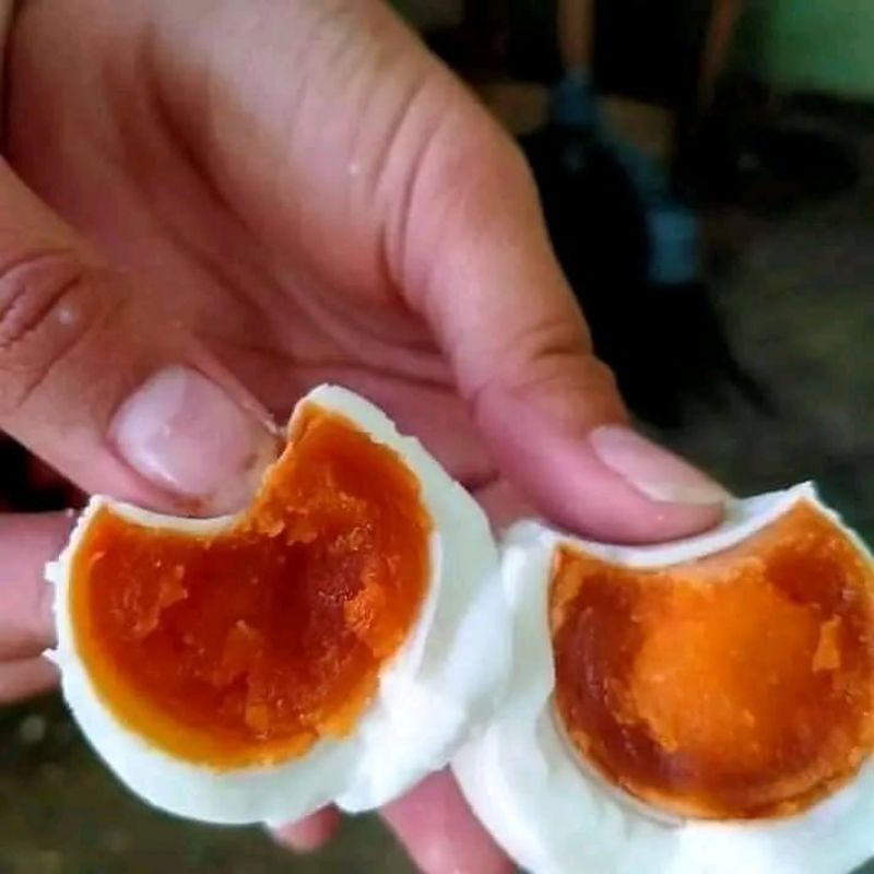 

telor asin