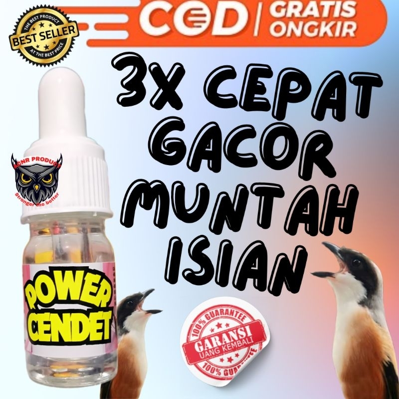 POWER CENDET VITAMIN PENGGACOR BURUNG CENDET VITAMIN PENGGACOR PENTET