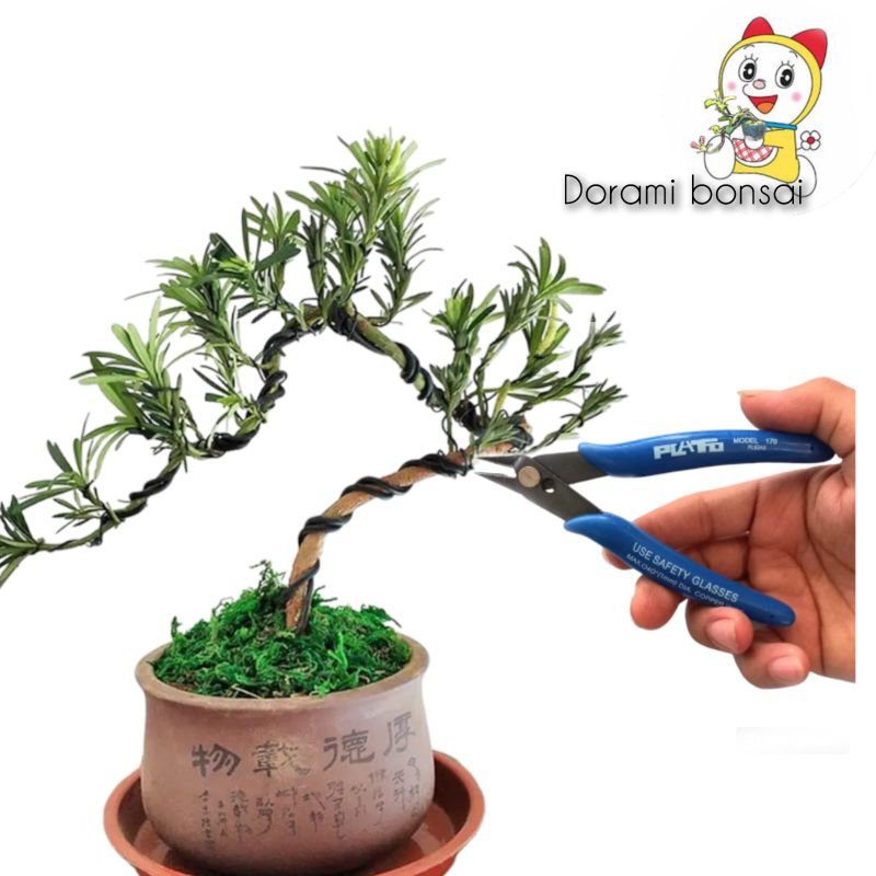 Tang potong kawat bonsai