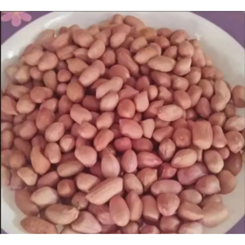 

murah kacang tanah kacang kualitas super