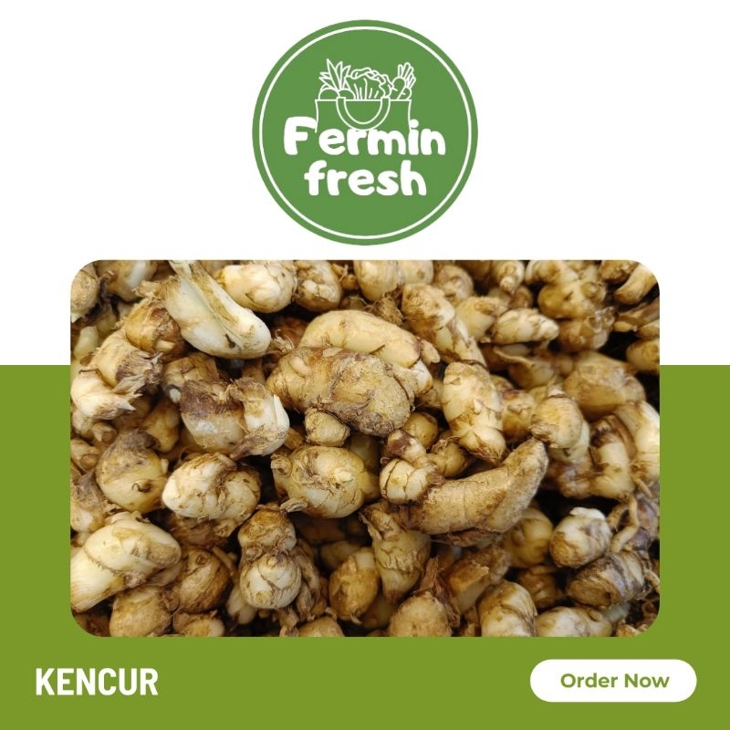 

Fermin Fresh, Kencur 100gr