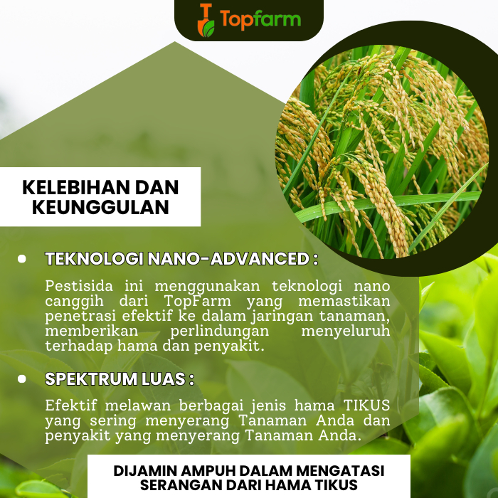 Obat Hama Tikus Sawah Ampuh / Obat Hama Tikus Semprot / Obat Hama Tikus Padi Sawah / Obat Hama Tikus