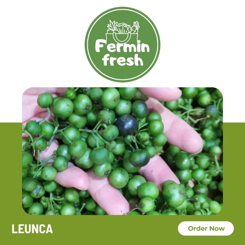 

Fermin Fresh, Leunca 250gr