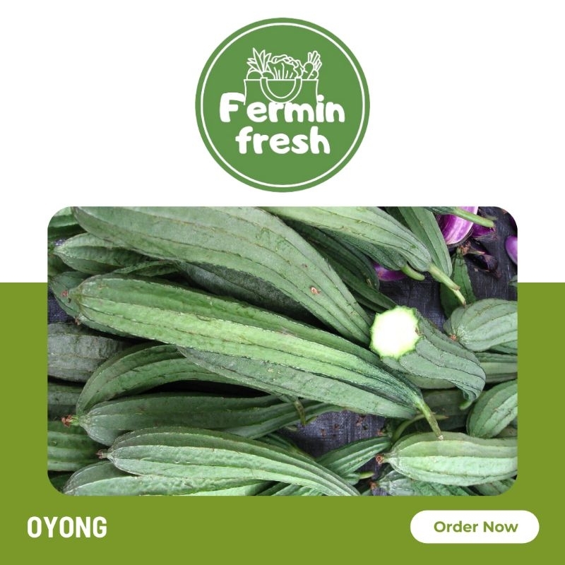 

Fermin Fresh, Oyong 250gr