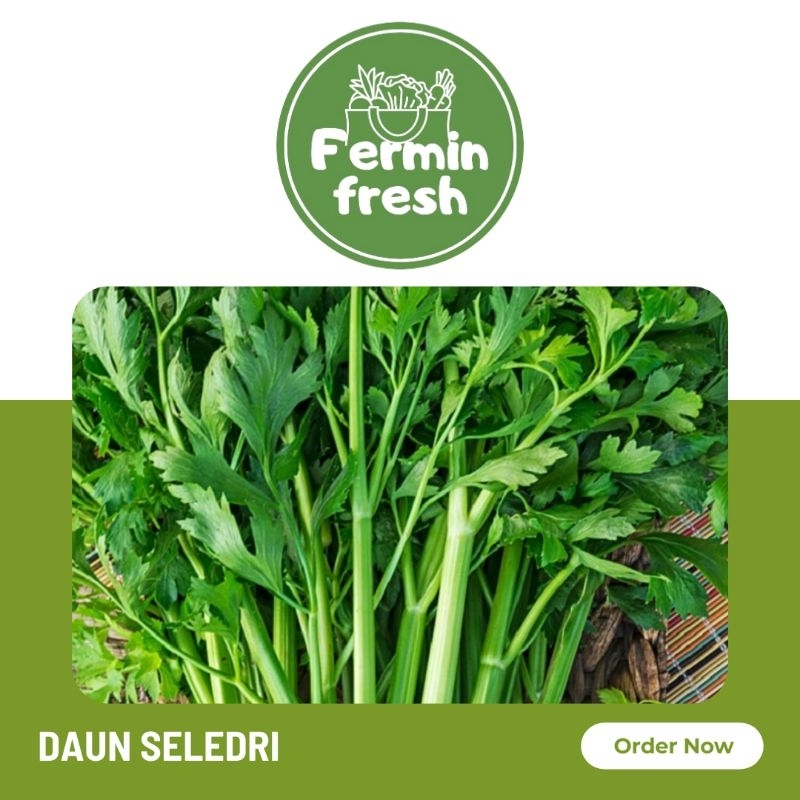 

Fermin Fresh, Daun seledri 250gr