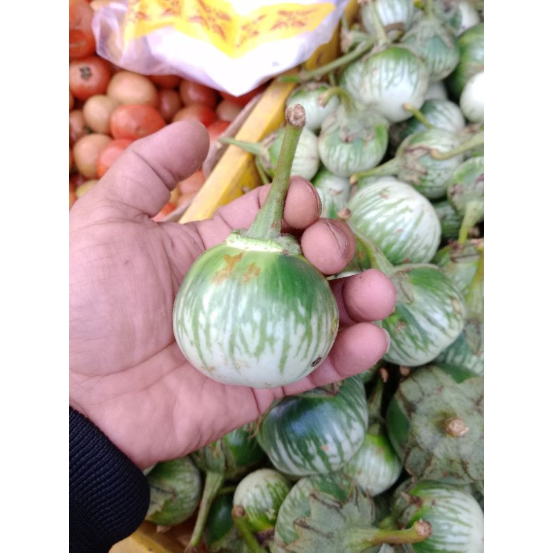 

Terong Hijau 500gram