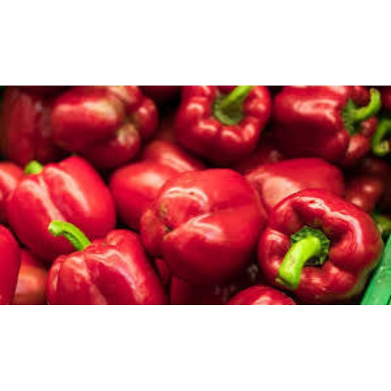 

paprika merah 250gram