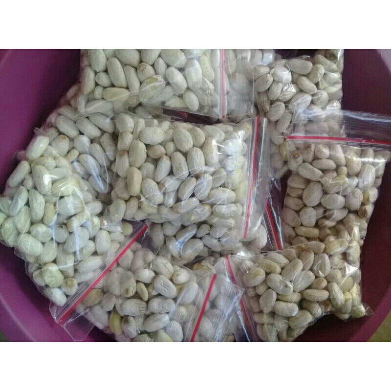 

biji jarak kupas super 100.biji