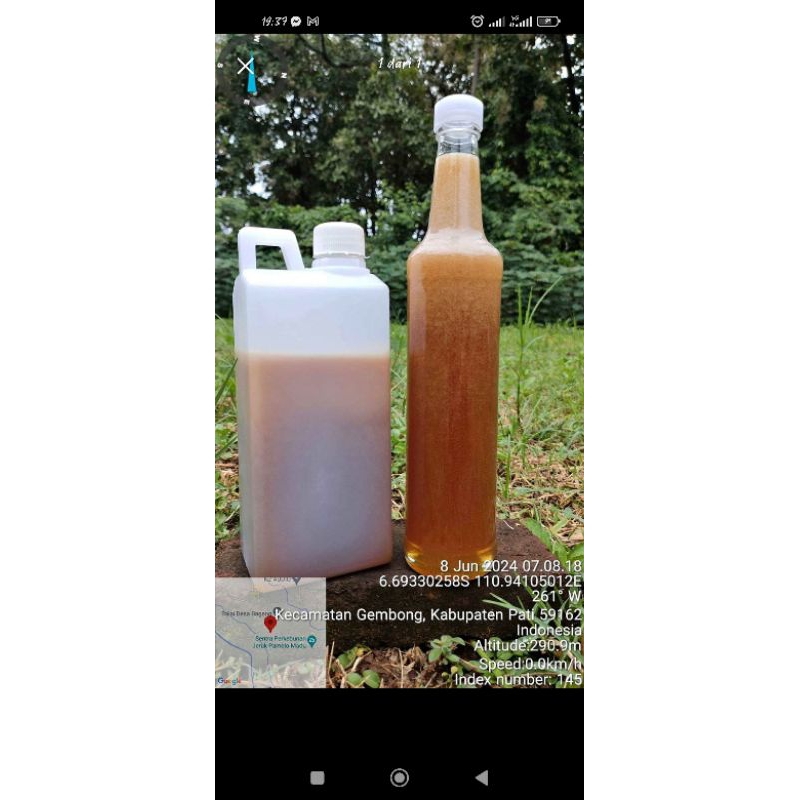 

MADU MURNI BUNGA RANDU 1KG